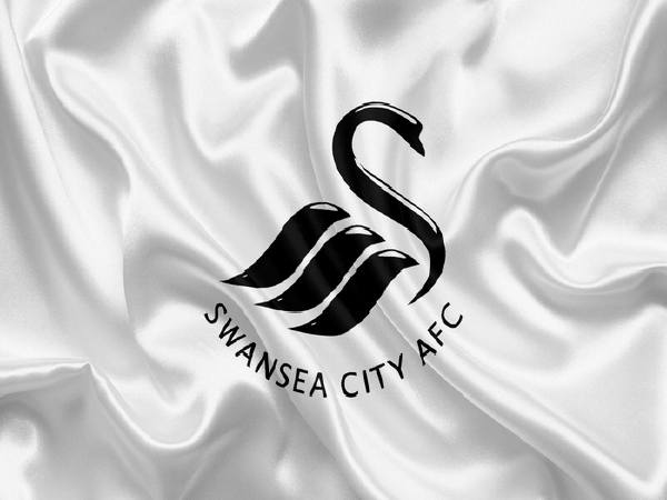 Logo Swansea City có ý nghĩa gì, tìm hiểu câu lạc bộ Swansea