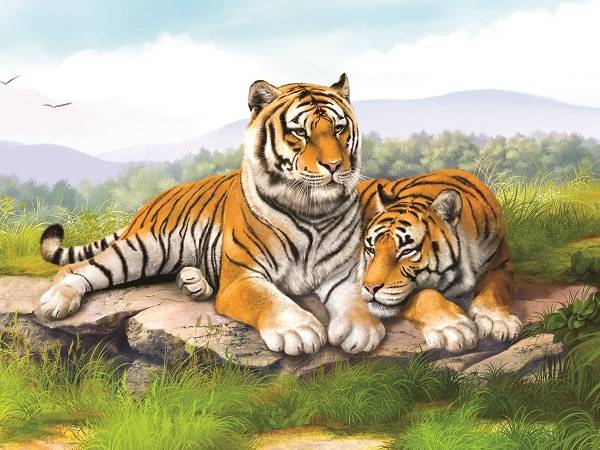 Con hổ số mấy – Ý nghĩa điềm báo giấc mơ thấy con hổ