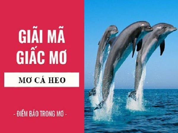 Nằm mơ thấy cá heo là điềm gì, con số may mắn liên quan