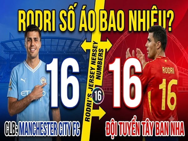 Rodri số áo bao nhiêu tại CLB và đội tuyển Tây Ban Nha